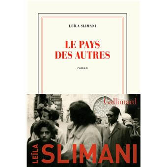 Résumé du livre le pays des autres