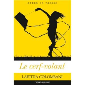 Sorties livres du mois de juin : Le cerf-volant